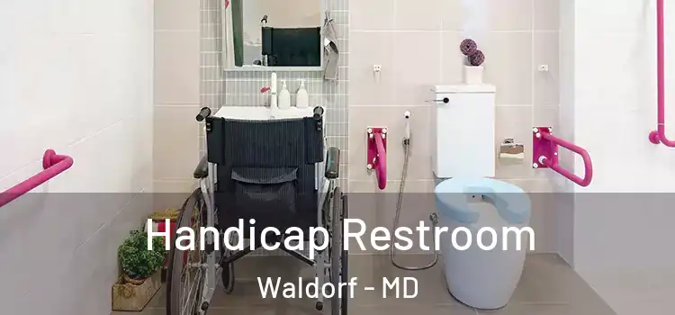 Handicap Restroom Waldorf - MD